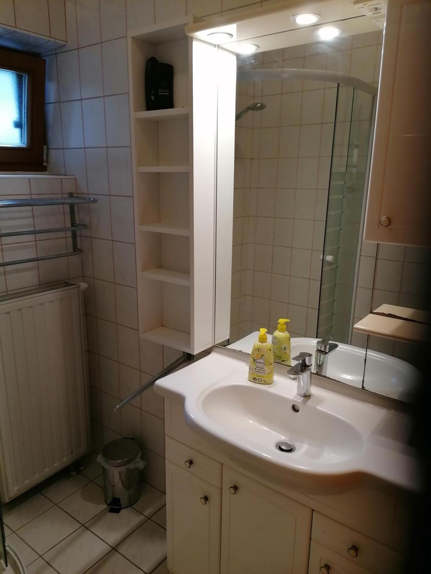 Blockhaus Familie Raidl Apartment Регенсбург Екстериор снимка